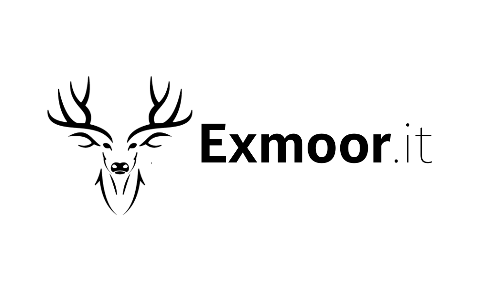 Exmoor IT